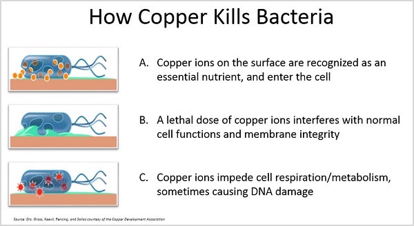 Experiments demonstrated the possible antiviral abilities of copper